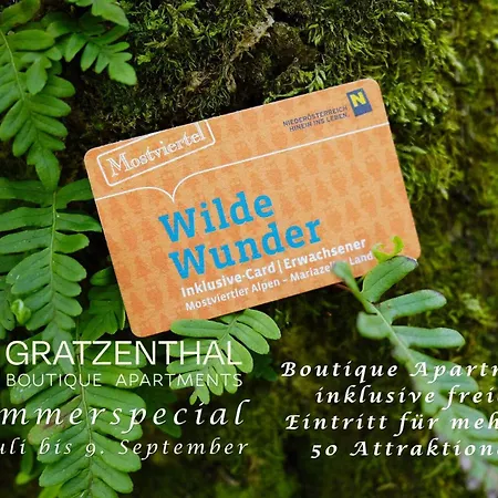 Apartamento Gratzenthal Boutique Hollenstein an der Ybbs