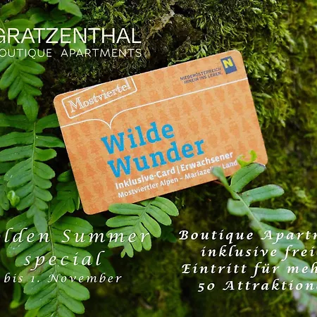 Gratzenthal Boutique Lägenhet Hollenstein an der Ybbs